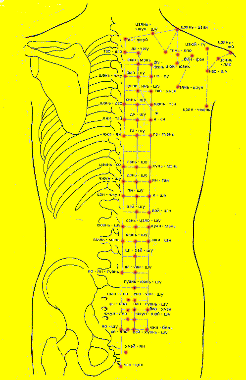 Точки шу. Акупунктурные точки Шэнь-Шу. Шу точки спины. Точка Шэнь-Шу расположение. Шу пункты спины.